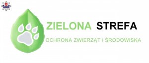 zielona strefa