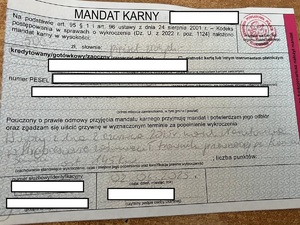 mandat karny
