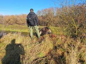 przewodnik z psem słuzbowym na poszukiwaniach zaginionego