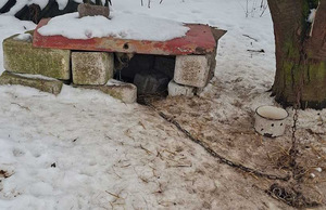 Zaniedbany pies w prowizorycznej budzie.